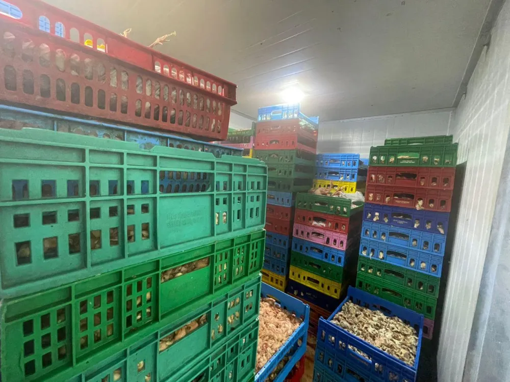 OPERASI KILANG PROSES AYAM