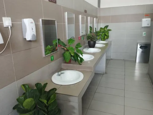 Program Tandas Bersih