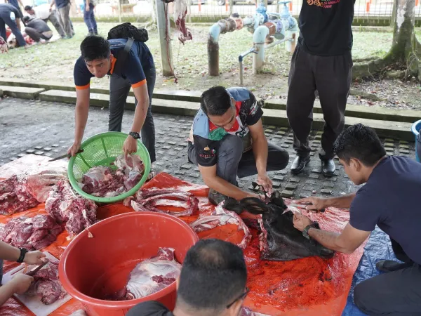 Program Ibadah Qurban MPS 2022