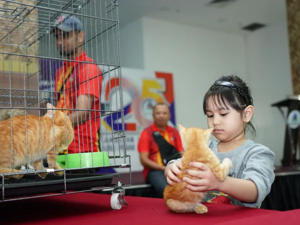 Program Kucing Angkat