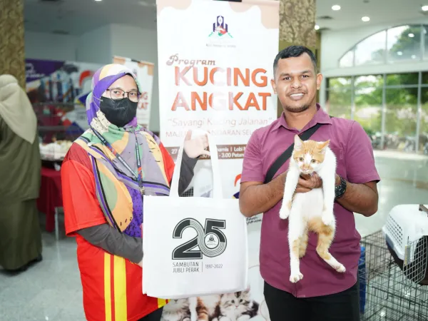 Program Kucing Angkat