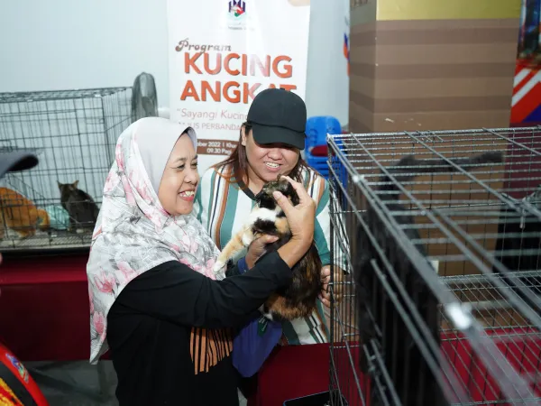 Program Kucing Angkat