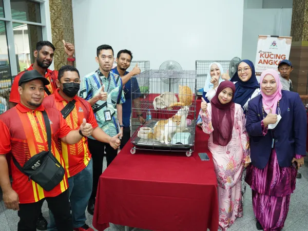 Program Kucing Angkat