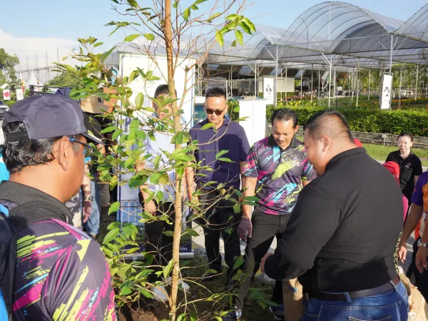 PROGRAM TANAM POKOK DI BRP