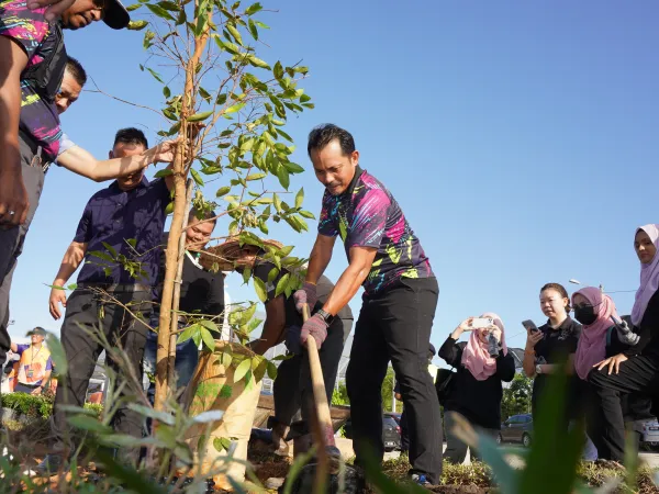 PROGRAM TANAM POKOK DI BRP