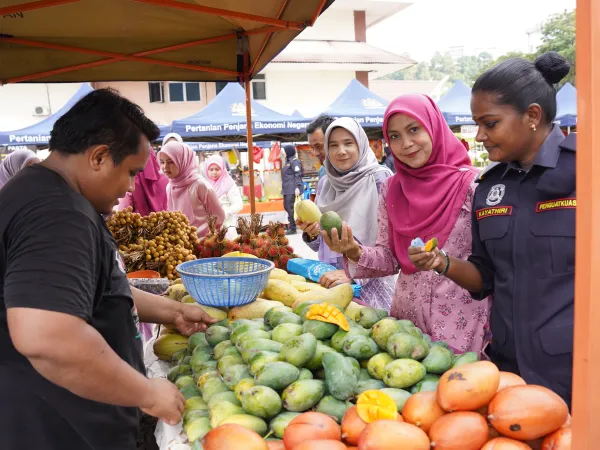 JUALAN AGRO MADANI ANJURAN ANULAE