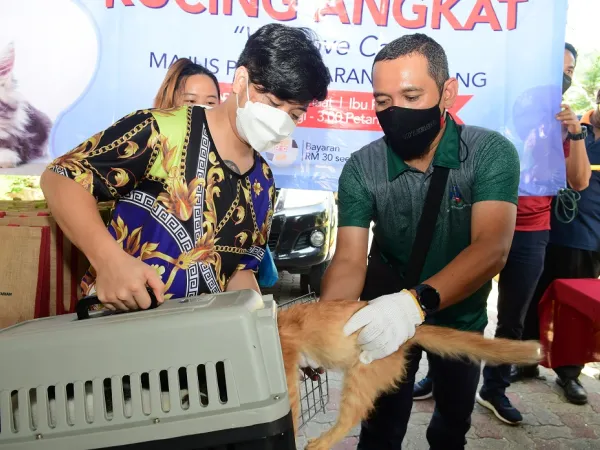 Program Kucing Angkat - We Love Cat