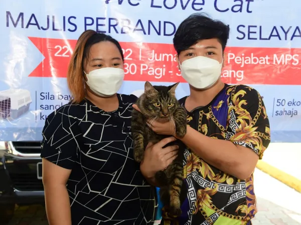 Program Kucing Angkat - We Love Cat