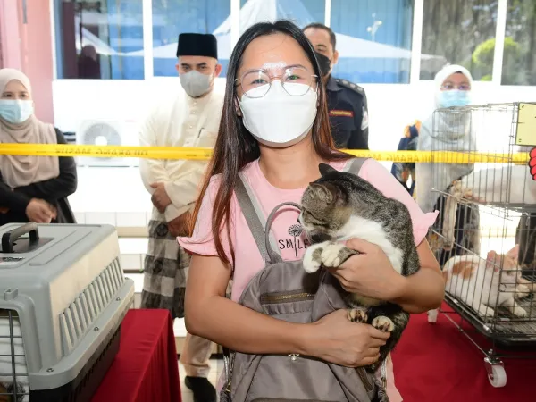 Program Kucing Angkat - We Love Cat