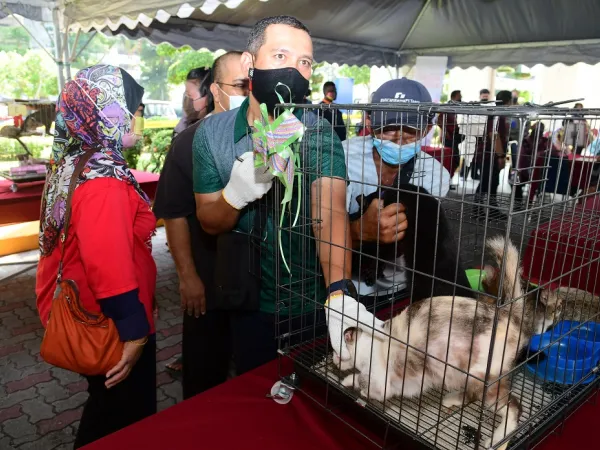 Program Kucing Angkat - We Love Cat