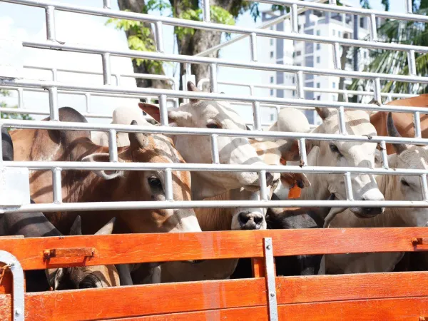 Ibadah Qurban Bersama Dato' Menteri Besar