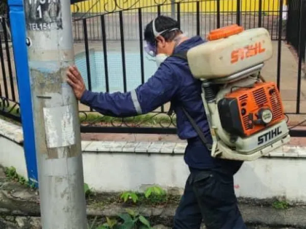 Larvaciding (BTI) Search and Destroy