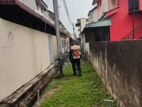 Larvaciding (BTI) Search and Destroy