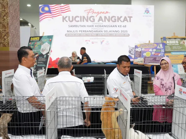 PROGRAM KUCING ANGKAT MPS 2025