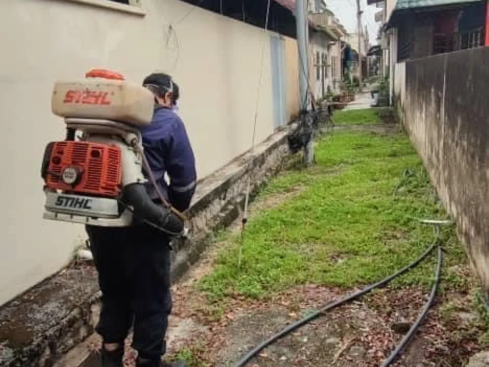 Larvaciding (BTI) Search and Destroy